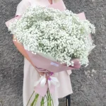 Geliu puokste sesei