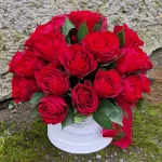 raudonos rozes dezuteje