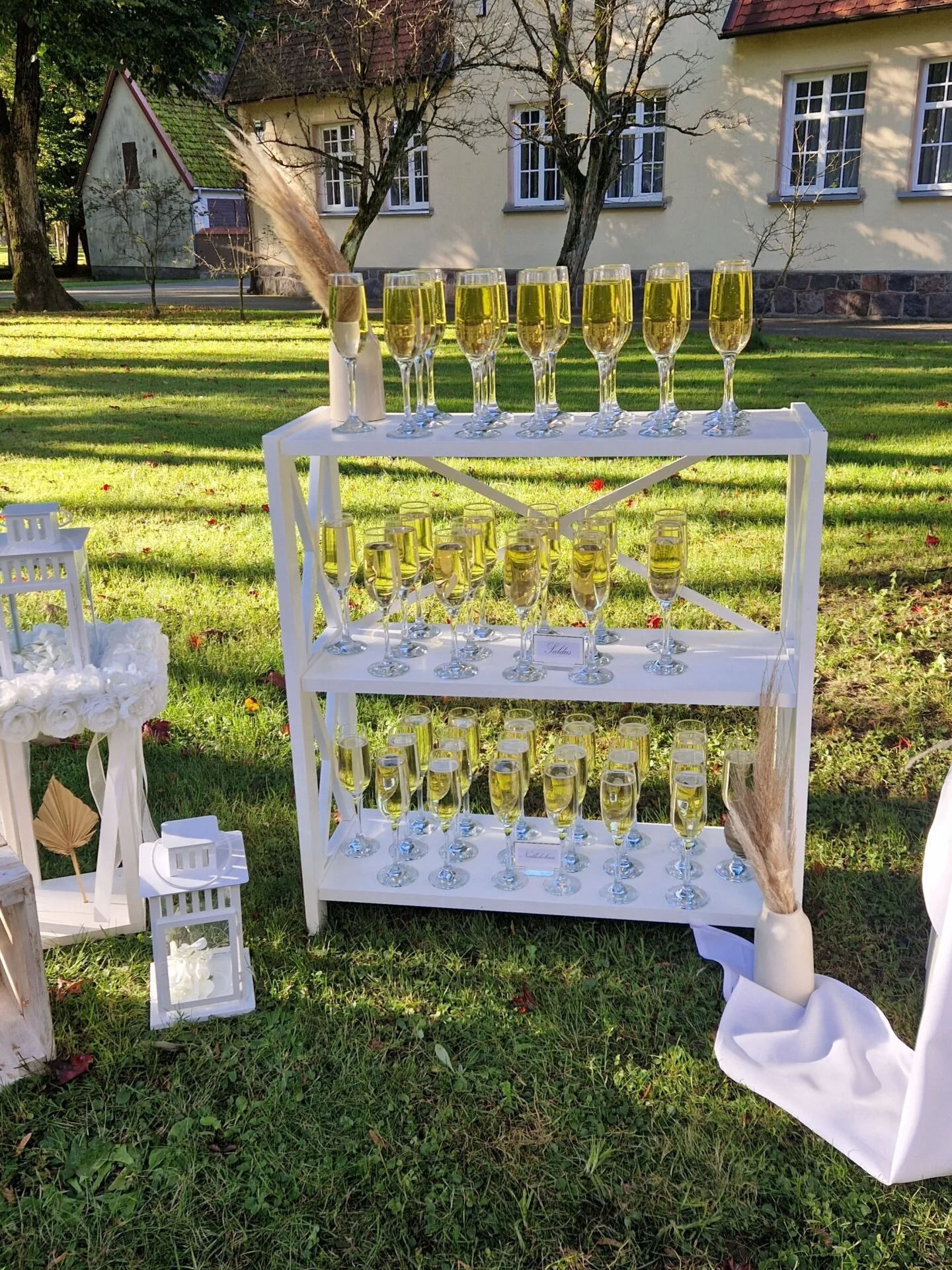 Puošnus šampano taurių pateikimas lauko šventei